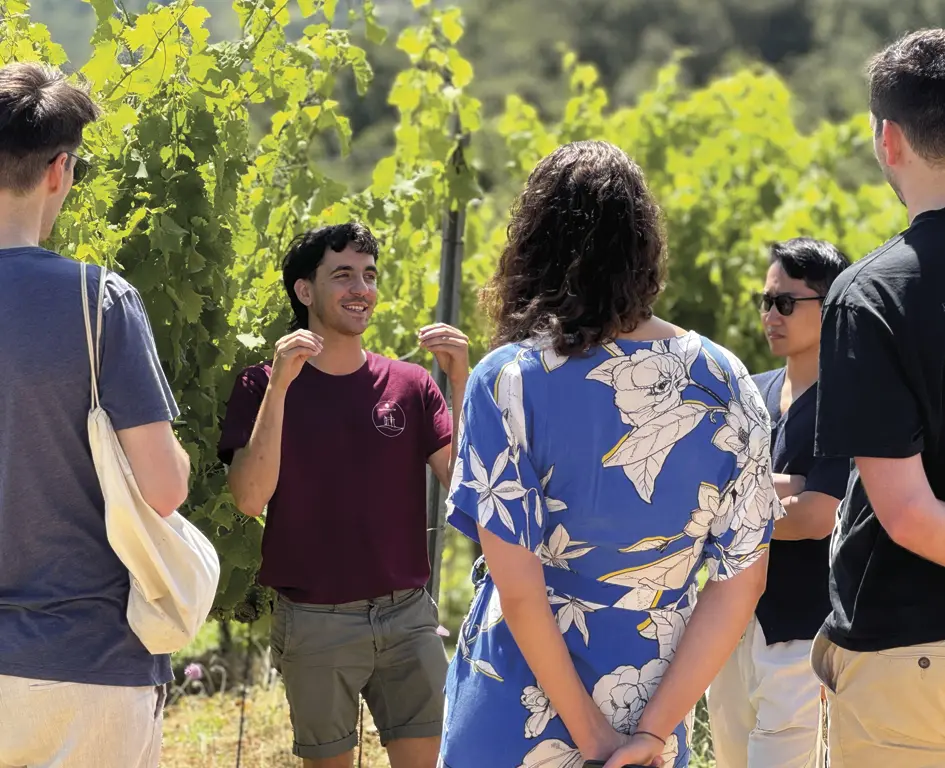 Visita Guidata Alle Cantine